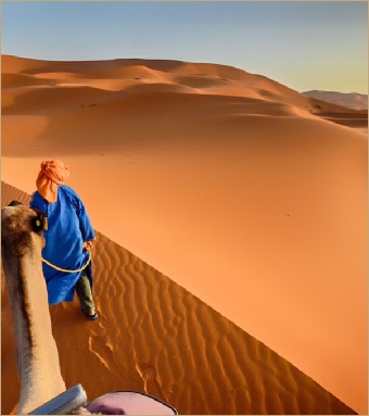 14 Day Grand Morocco Desert & Culture Tour 14 Day Grand Morocco Desert & Culture Tour